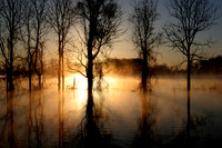 reflections 01