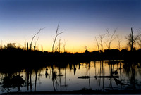 twilight