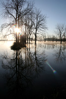 reflections 02