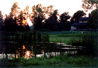 pond