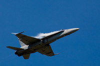 Airshow 2008 02