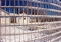 ice storm IV