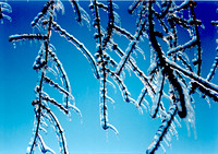 ice storm I