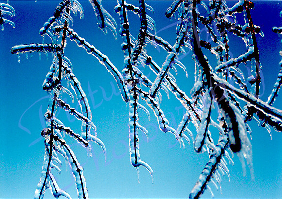 ice storm I
