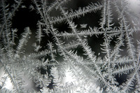 frost