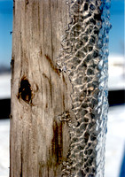 ice storm III